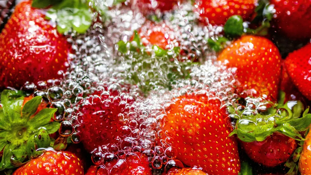Fresh strawberries being washed